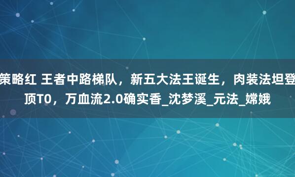 策略红 王者中路梯队，新五大法王诞生，肉装法坦登顶T0，万血流2.0确实香_沈梦溪_元法_嫦娥