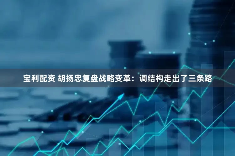 宝利配资 胡扬忠复盘战略变革：调结构走出了三条路